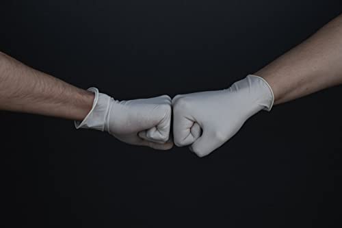 Exam Grade Powder & Latex Free Stretch Vinyl Gloves (100 Count)