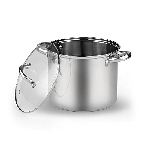Basics 12 Quart Stainless Steel Stock Pot with Lid