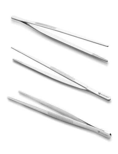 10 Inch Kitchen Food Tweezers Fine Stainless Steel Tweezer Tongs (2 Count)