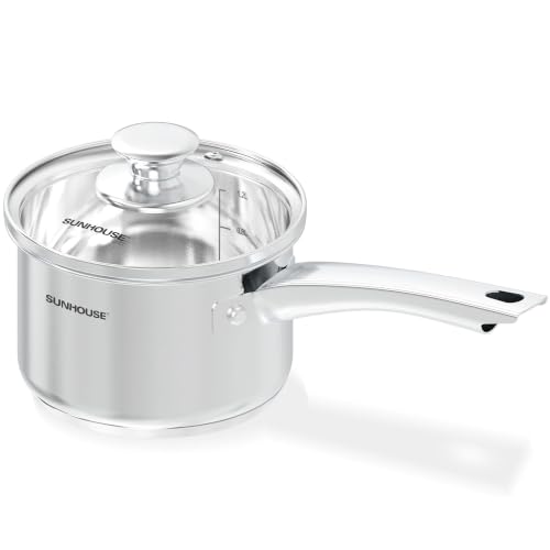 Stainless Steel Saucepan