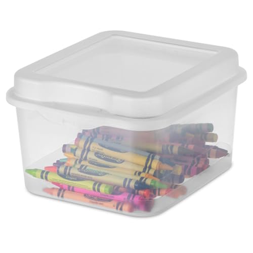 18038612 Small Flip Top Storage Box (24 Count)