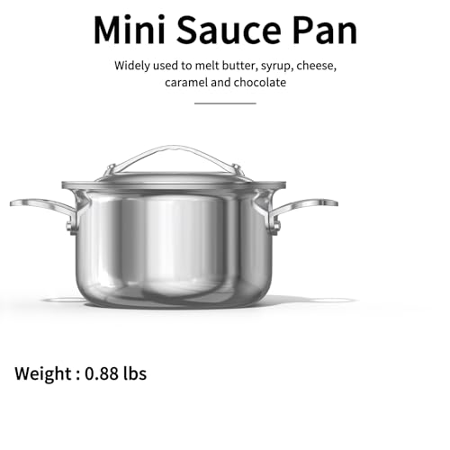 Mini Sauce Pan with Lid