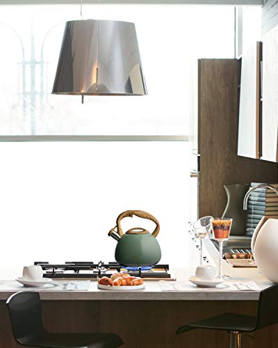 Poliviar Tea Kettle