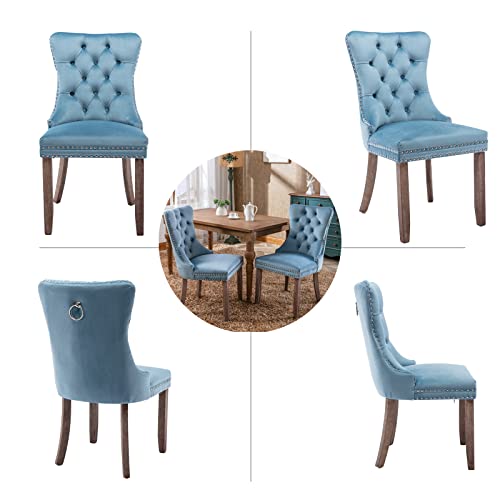 Light Blue Velvet Dining Chairs Set of 2 (2 Count)