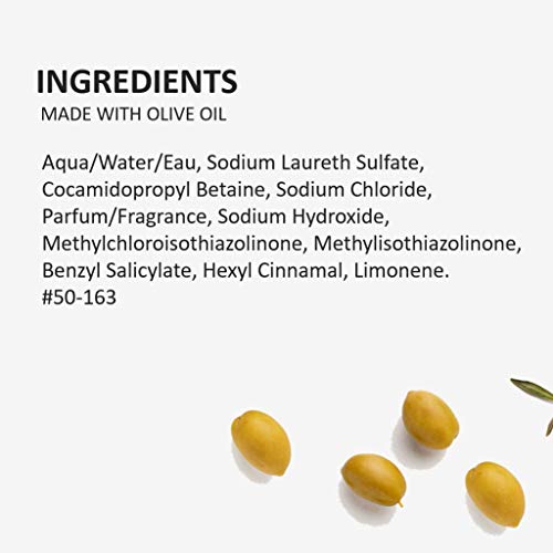 Fruits & Passion Cucina Dish Soap Detergent Refill Sea Salt and Amalfi Lemon (16.9 Fl Oz)