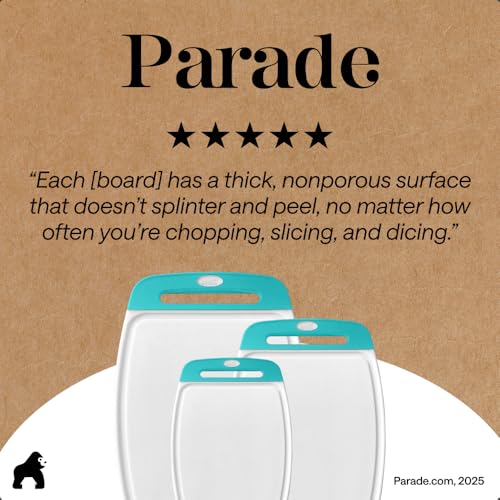BPA Free Reversible Kitchen Cutting Board (3 Count)