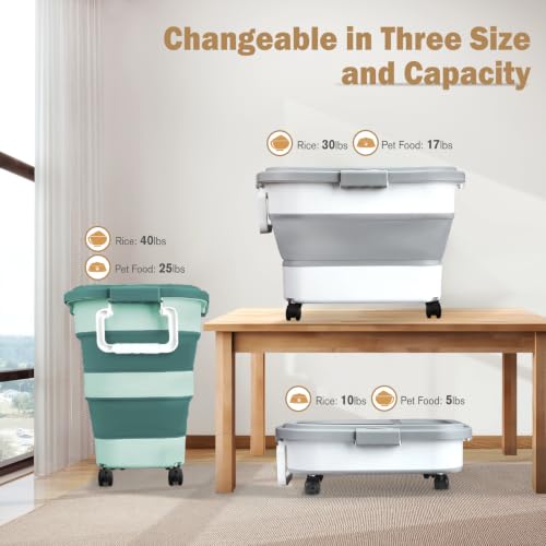 Rice Storage Container10