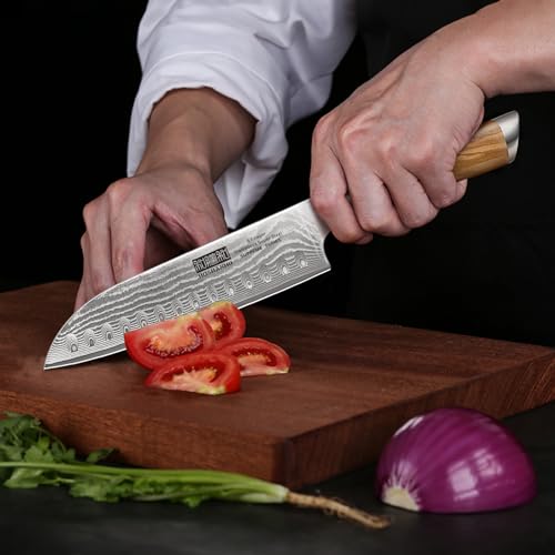 Damascus Santoku Knife 7"