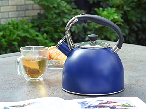 Whistling Tea Kettle for Stove Top