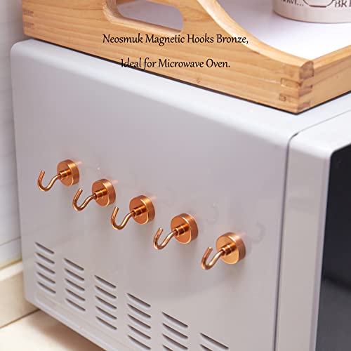Magnetic Hooks (10 Count)