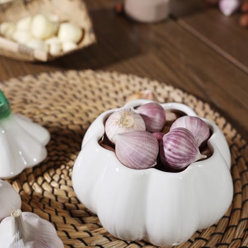 Garlic Keeper for Counter