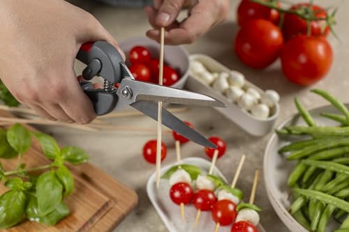 Pro Kitchen Shears