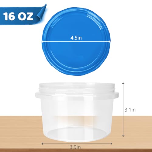 Freezer Storage Containers (10 Count)
