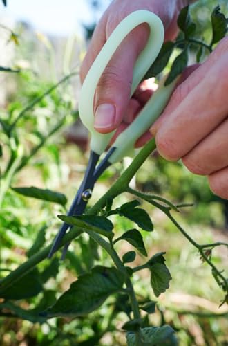 Obsidian Drake Pro Hort Trimming Scissors