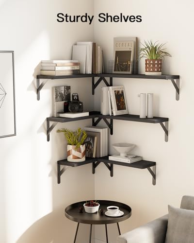 Amada Solid Paulownia Wood Wall Shelves (6 Count)