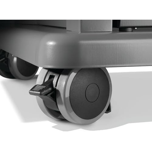 Rogue 525 4 Burner Natural Gas Grill