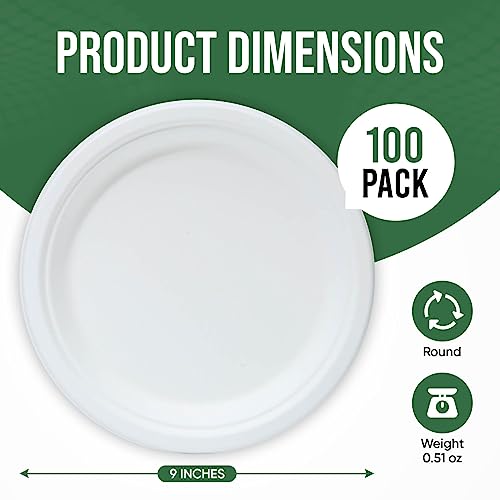 Heavy Duty Disposable Paper Plate 9 inch (100 Count)