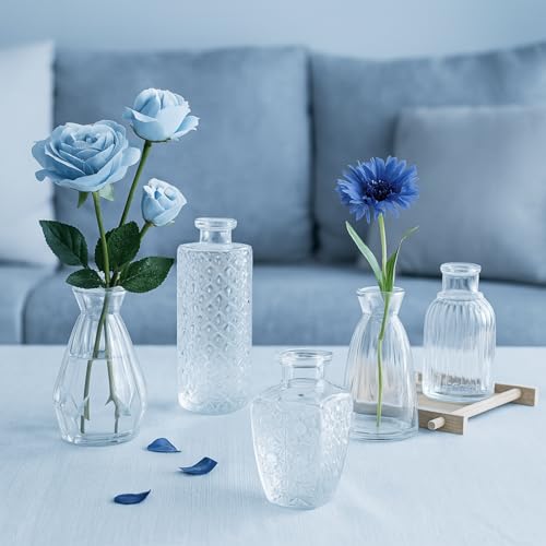 Glass Bud Vase Set of 12 Pcs (12 Count)