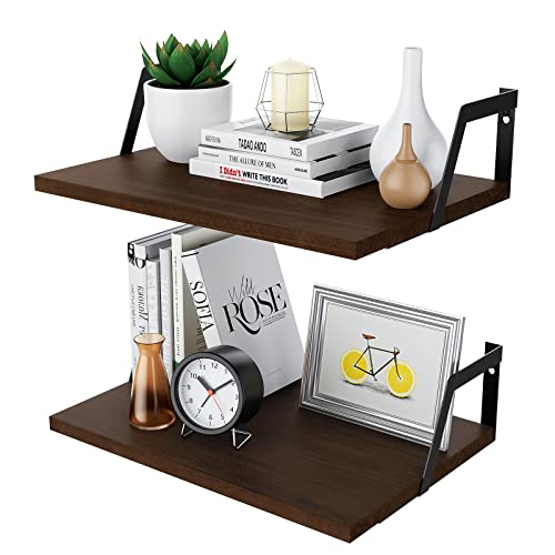 Dark Walnut Deep Floating Shelves (2 Count)
