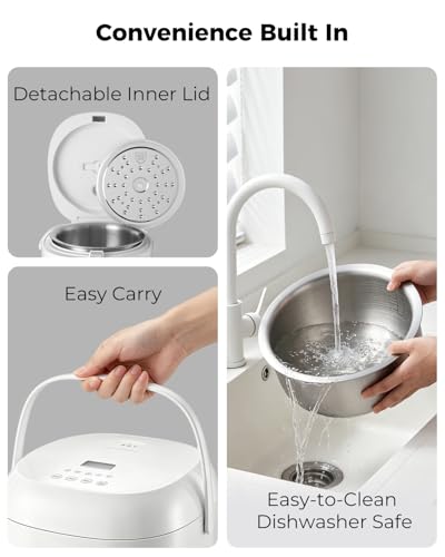 Stainless Steel Rice Cooker Small 6 Cup