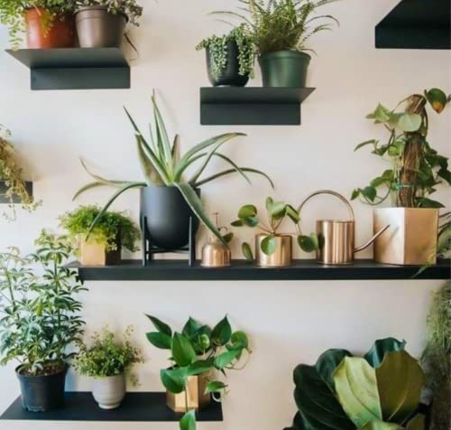 Made in USA Linear Floating Shelf