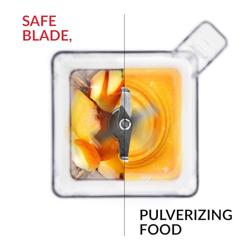 Designer 650 Series Blender