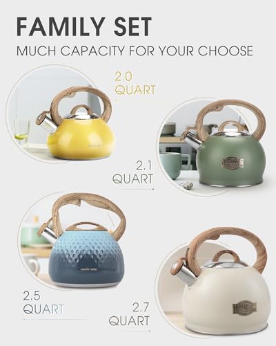 2.1 Qt Whistling Tea Kettle for Stovetop with Heat