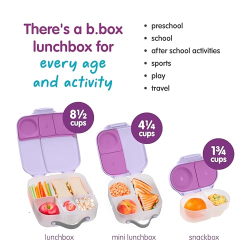 Mini Lunch Box