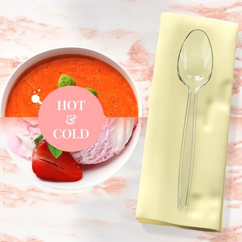 500 Count Clear Plastic Spoons