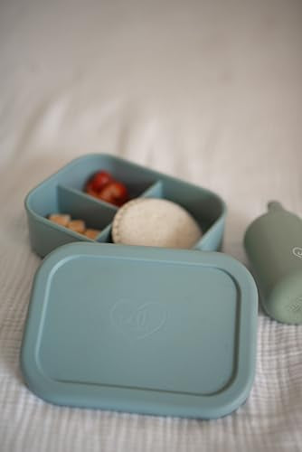 Kids Bento Box