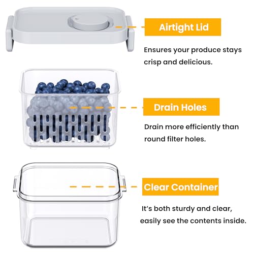 Dishwasher Safe Berry Keeper (2 Count)
