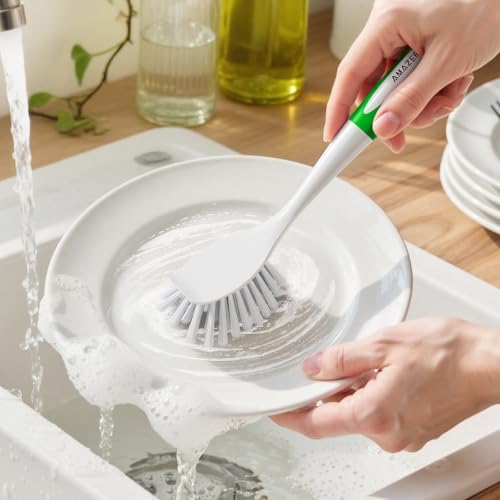 Dish Brush with Handle (2 Count)
