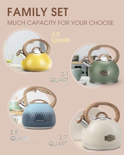 Tea Kettle Stovetop Teapot