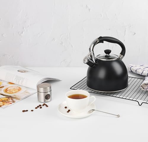 2.6 Quart Whistling Stainless Steel Tea Kettle for Stovetop