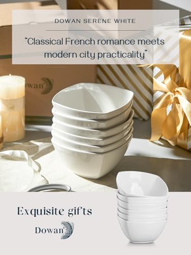 Porcelain Soup Bowls Set of 6 (6 Count)