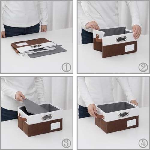 Foldable Storage Bins with Handles [3 (3 Count)