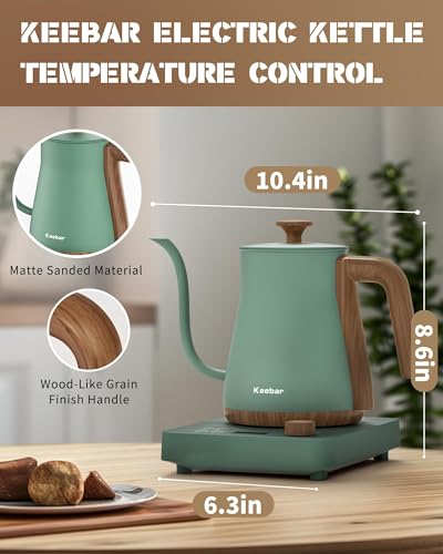 Gooseneck Electric Kettle