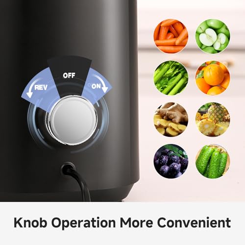 Cold Press Juicer