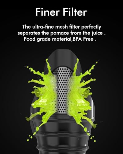 Mini Slow Masticating Juicer