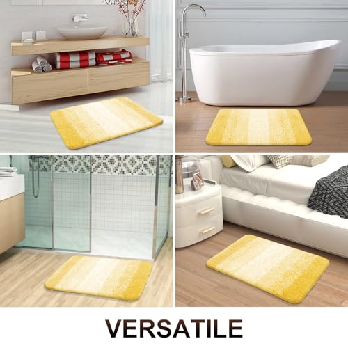 Bathroom Rugs Mat 36x24