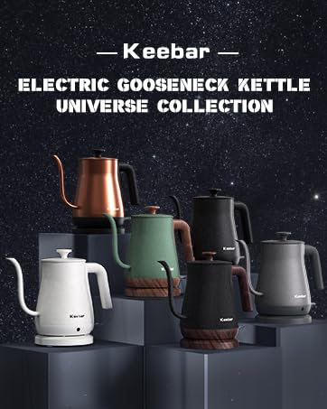 Electric Gooseneck Kettle
