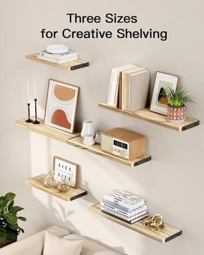Amada Solid Paulownia Wood Wall Shelves (6 Count)