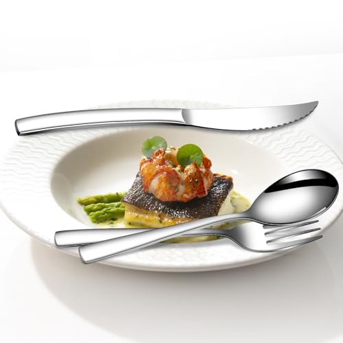 20 Piece Silverware Set for 4 with Steak Knives (20 Count)