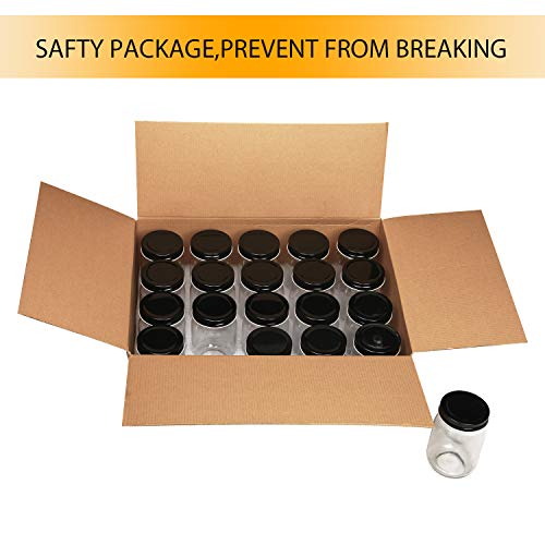 20 Pack Mason Jars (20 Count)
