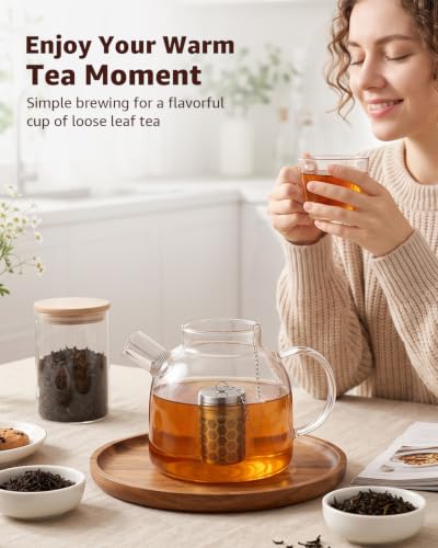 Tea Infusers Extra Fine Mesh Tea Strainers for Loose Tea