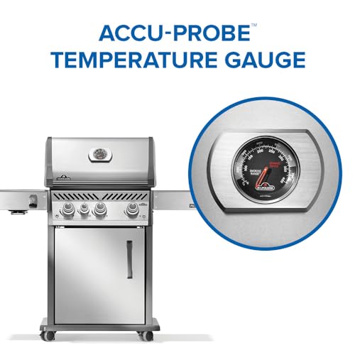 Rogue PRO 425 3