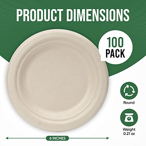 Small Disposable Paper Plates 6 inch (100 Count)