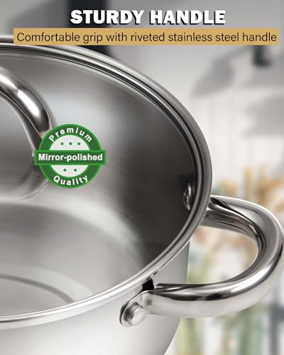 Basics 5.5 Quart Stainless Steel Stock Pot with Lid