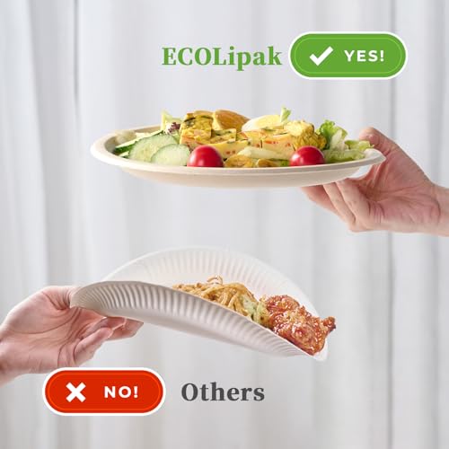 150 Pack 10 inch Compostable Disposable Paper Plates for Party (150 Count)