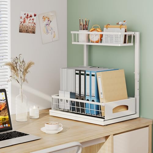 Under Sink Organizer